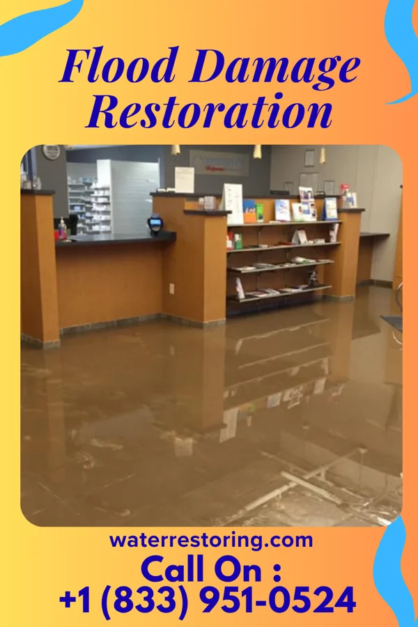 Flood Damage Restoration in Rosemont, IL