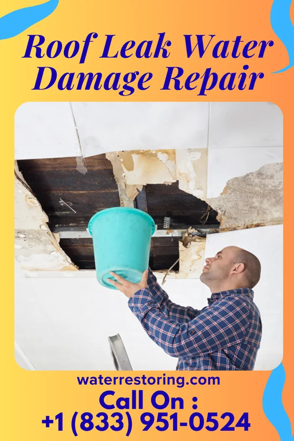 Roof Leak Water Damage Repair in Rosemont, IL